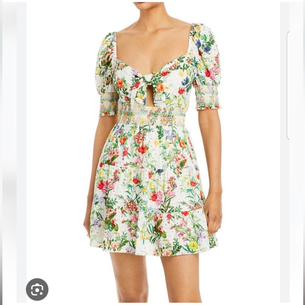 Alice + Olivia Kristie Floral Mini Dress Size 6